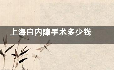 上海白内障手术多少钱？2025年参考价格：传统手术3000+|超声乳化6000+|飞秒激光10000+！
